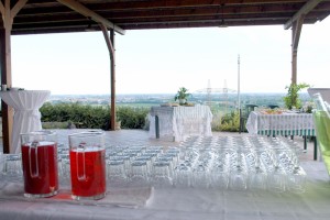 buffet aperitivo terrazza